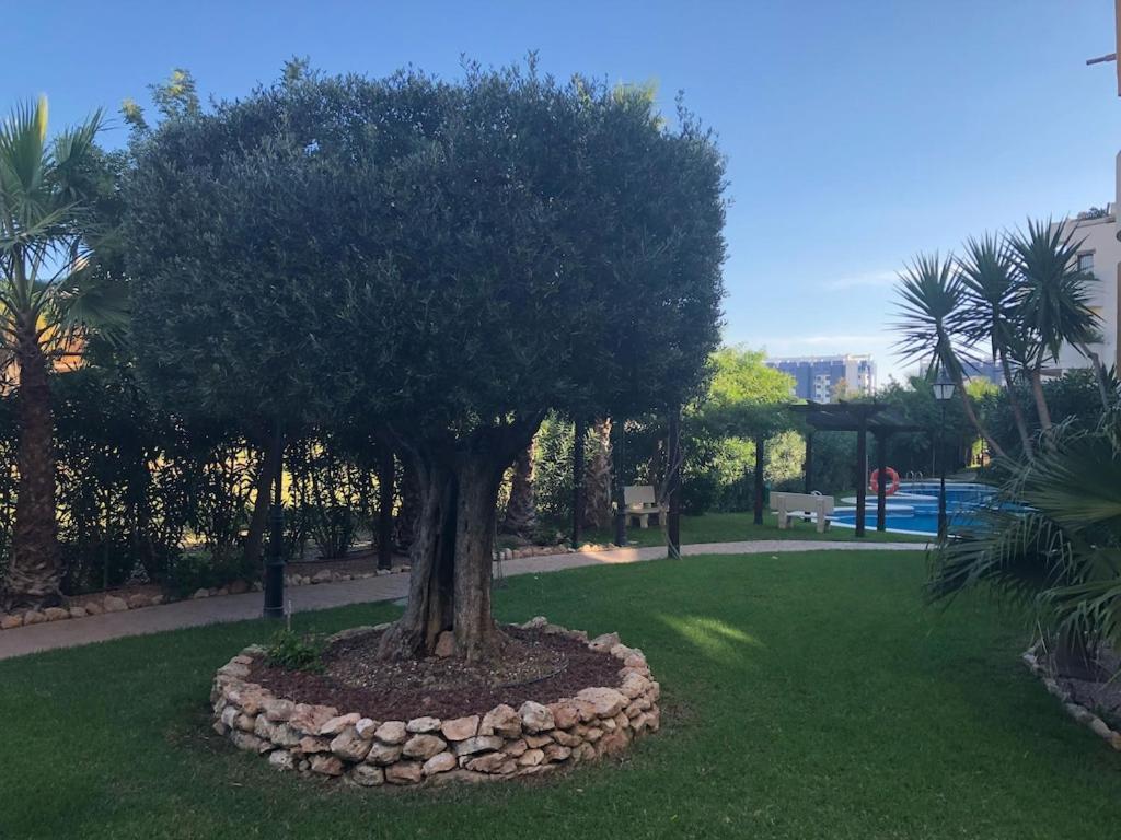 Panorama Park, Punta Prima, 5 Star Luxury 2 Bedroom Apartment Like No Other Alicante Eksteriør billede